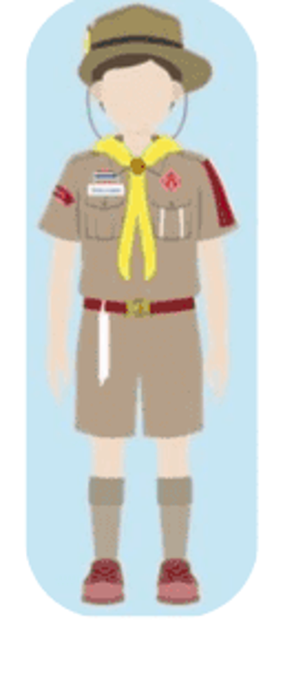 Scout